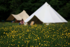 Bell tents at Pete's Field campsite in Kent