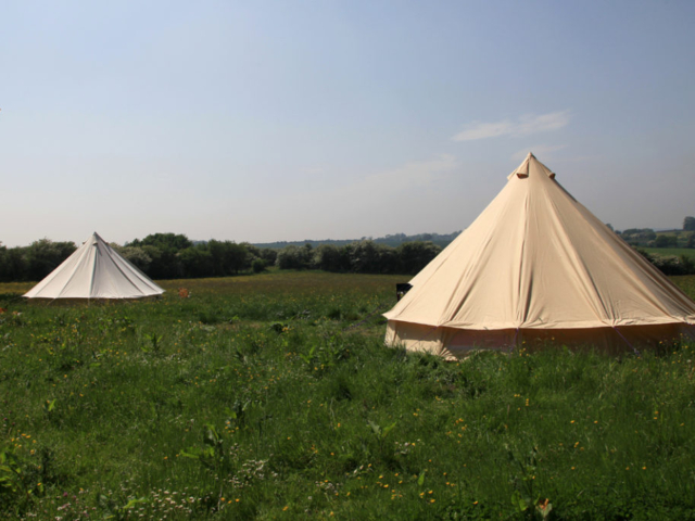 Bell tents at Pete's Field have carpets and beds