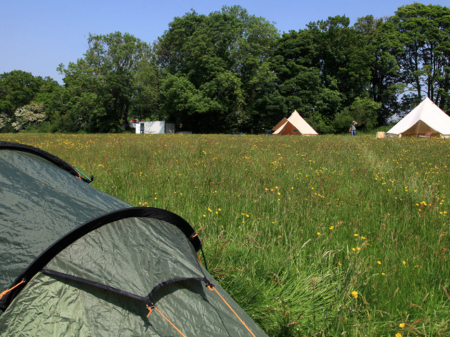 Camping and glamping at Cole Farm