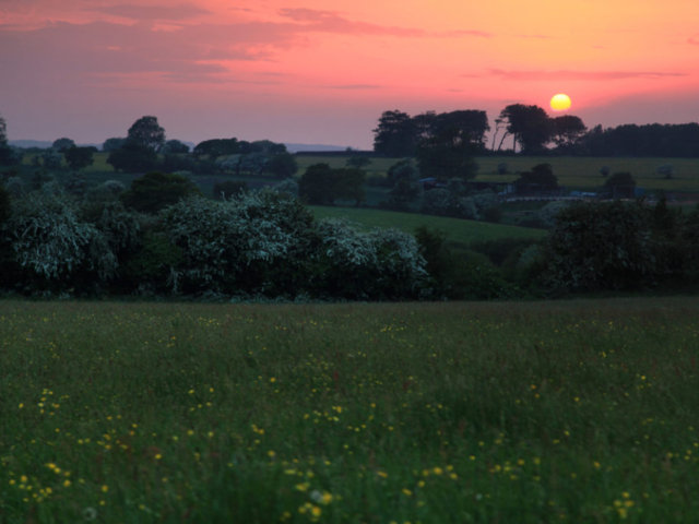 Sunset over the Kent Down's from Pete's Field campsite
