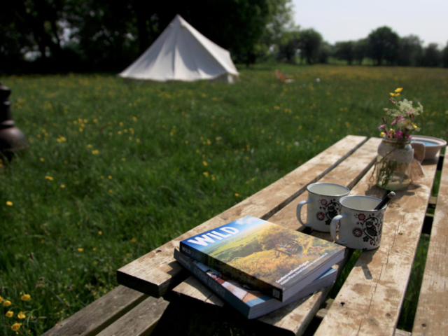 Glamping within the Kent Downs at Pete's Field campsite
