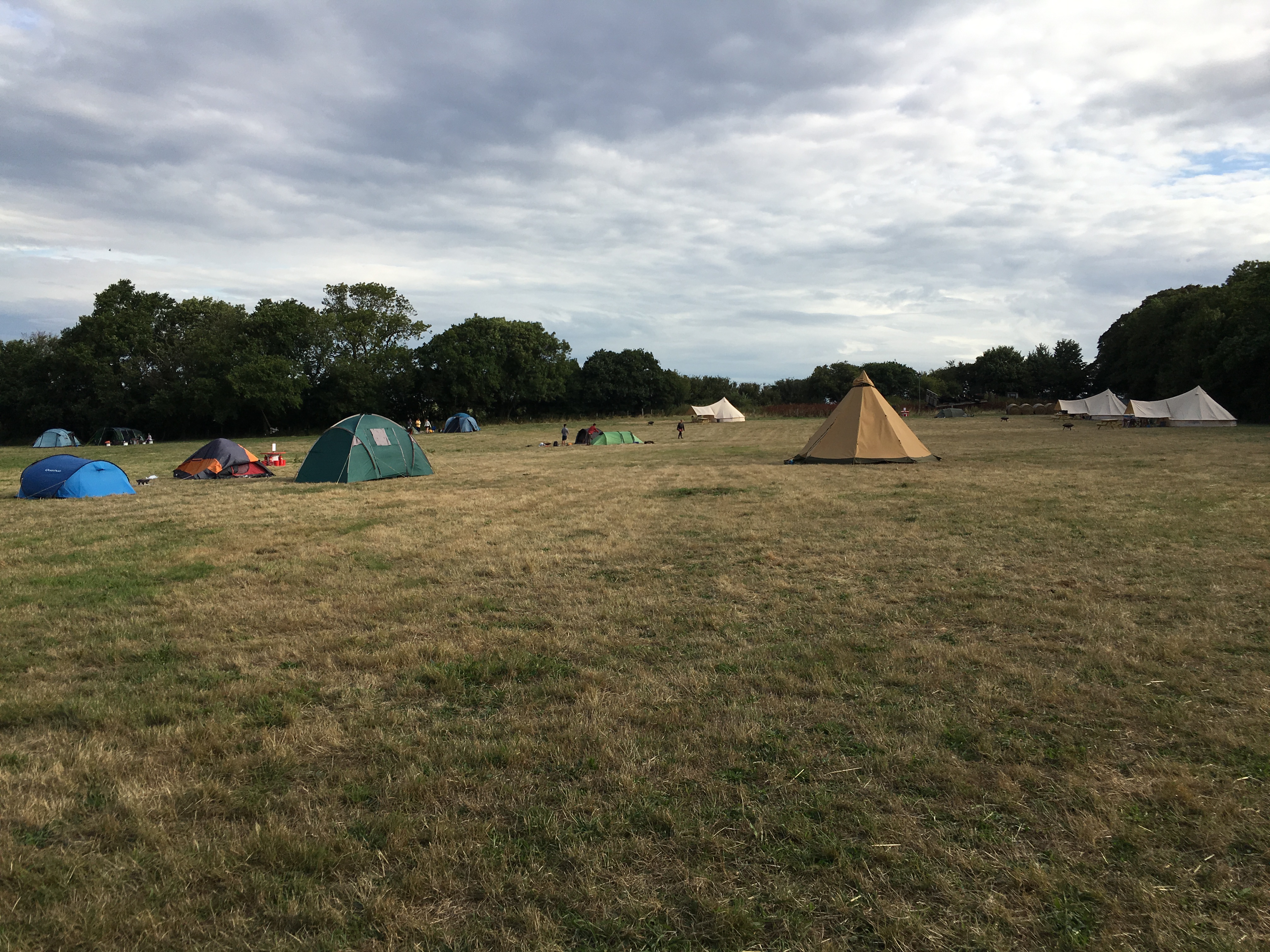 Camping near Folkestone - tents at Pete's Field campsite